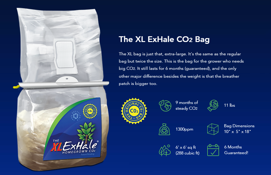 exhale xl